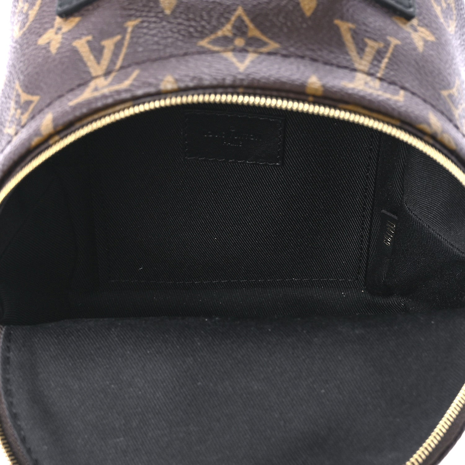 Louis Vuitton Monogram Palm Springs Backpack Mini 5 of 10