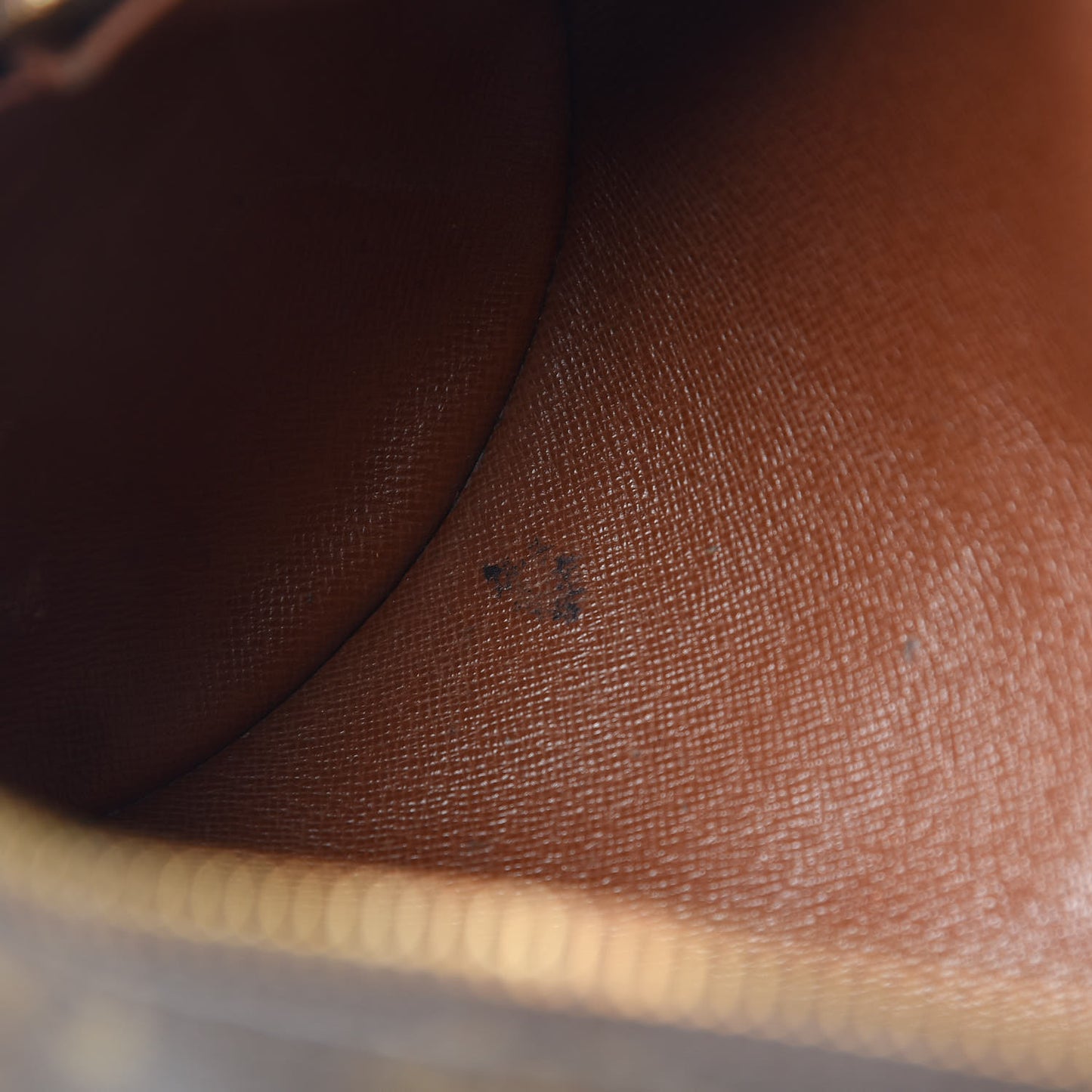 Monogram Papillon 26