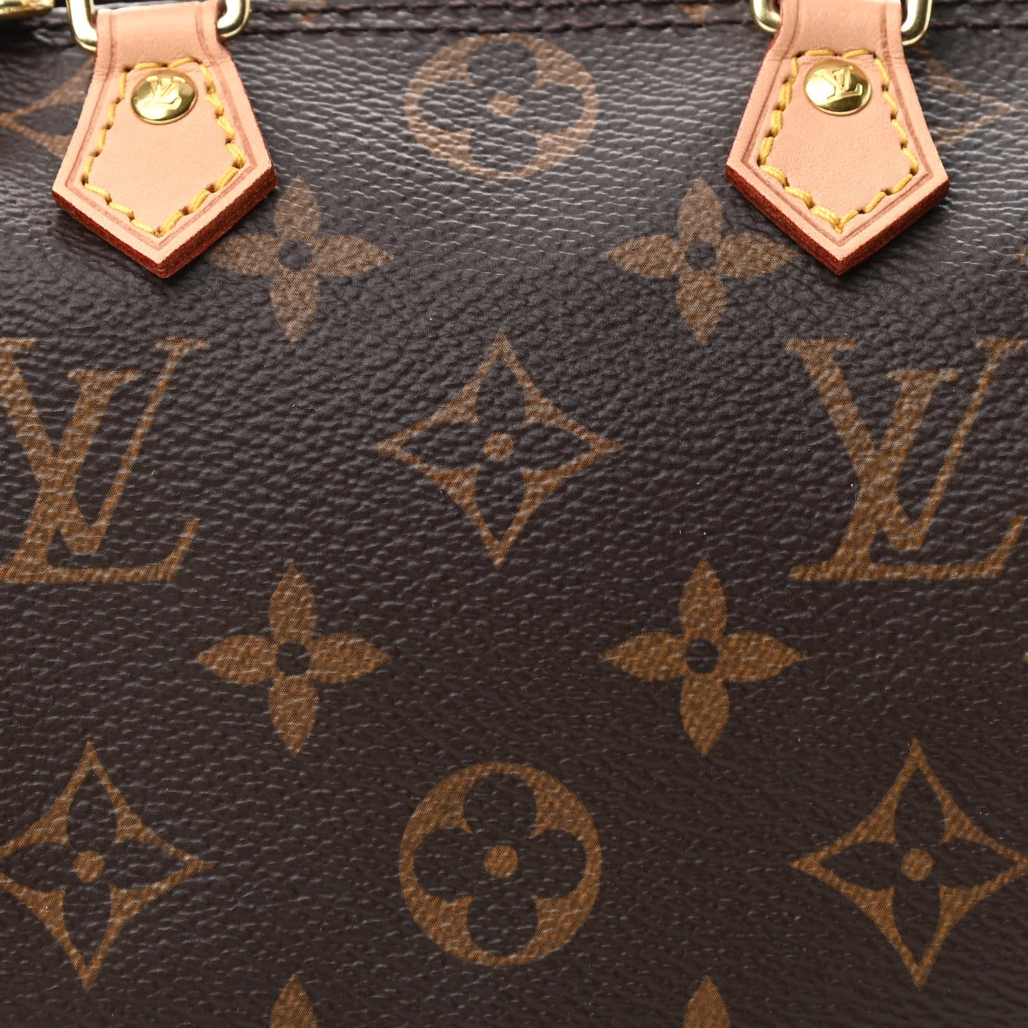 Monogram Nano Speedy