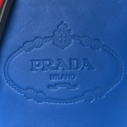 Prada Vitello Phenix Logo Hobo Bluette 9 of 11