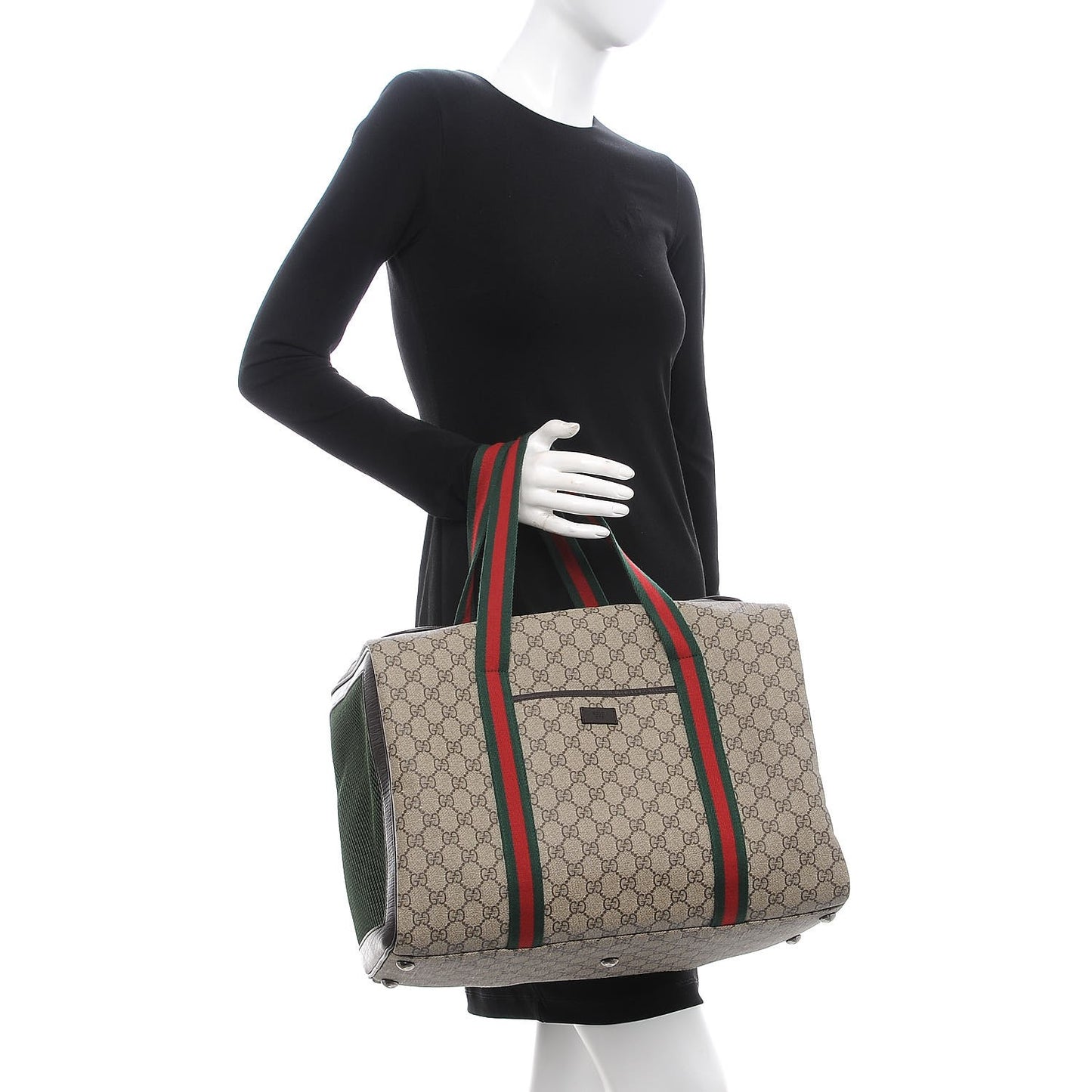 Monogram Web Dog Carrier