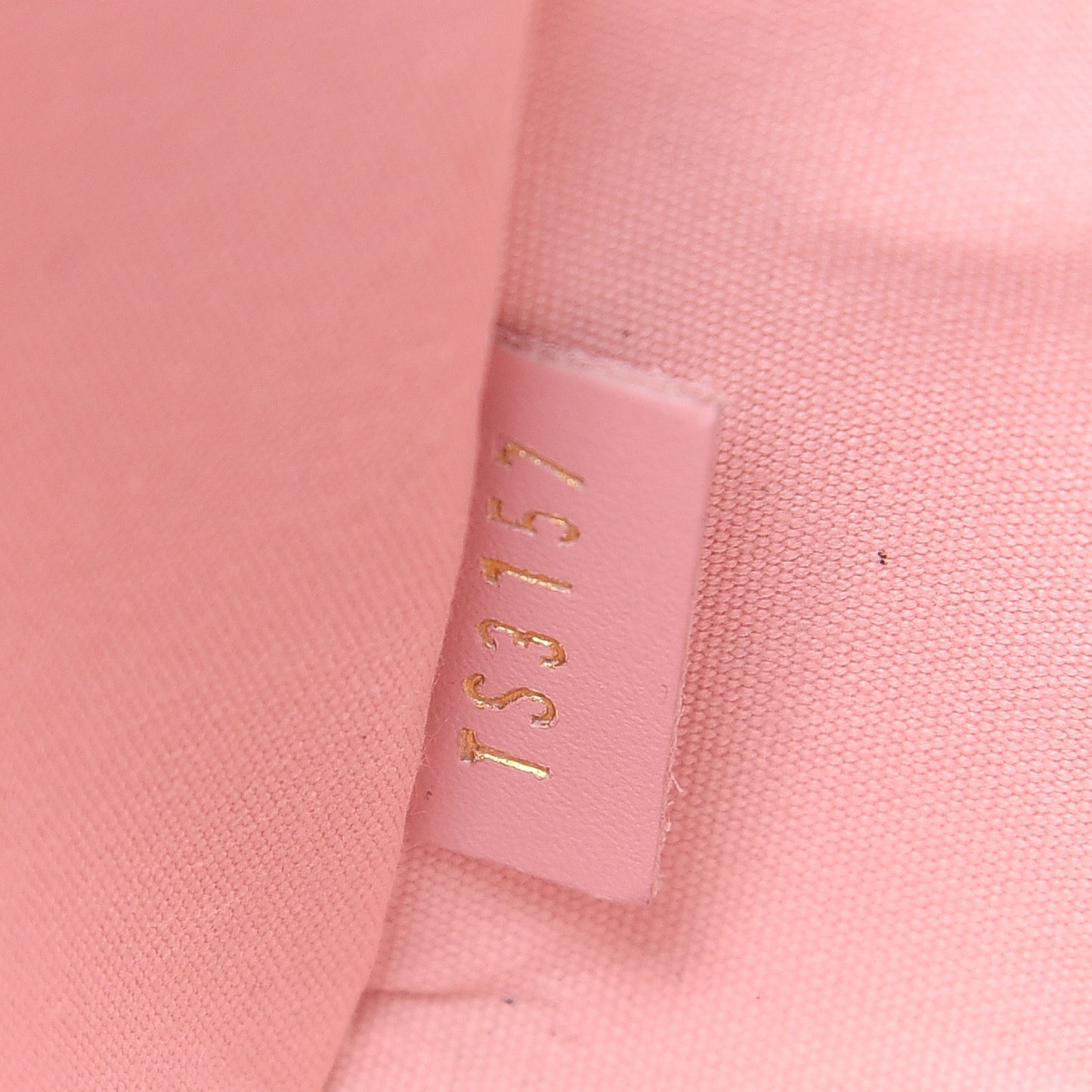 Vernis Camera Pouch Rose Ballerine