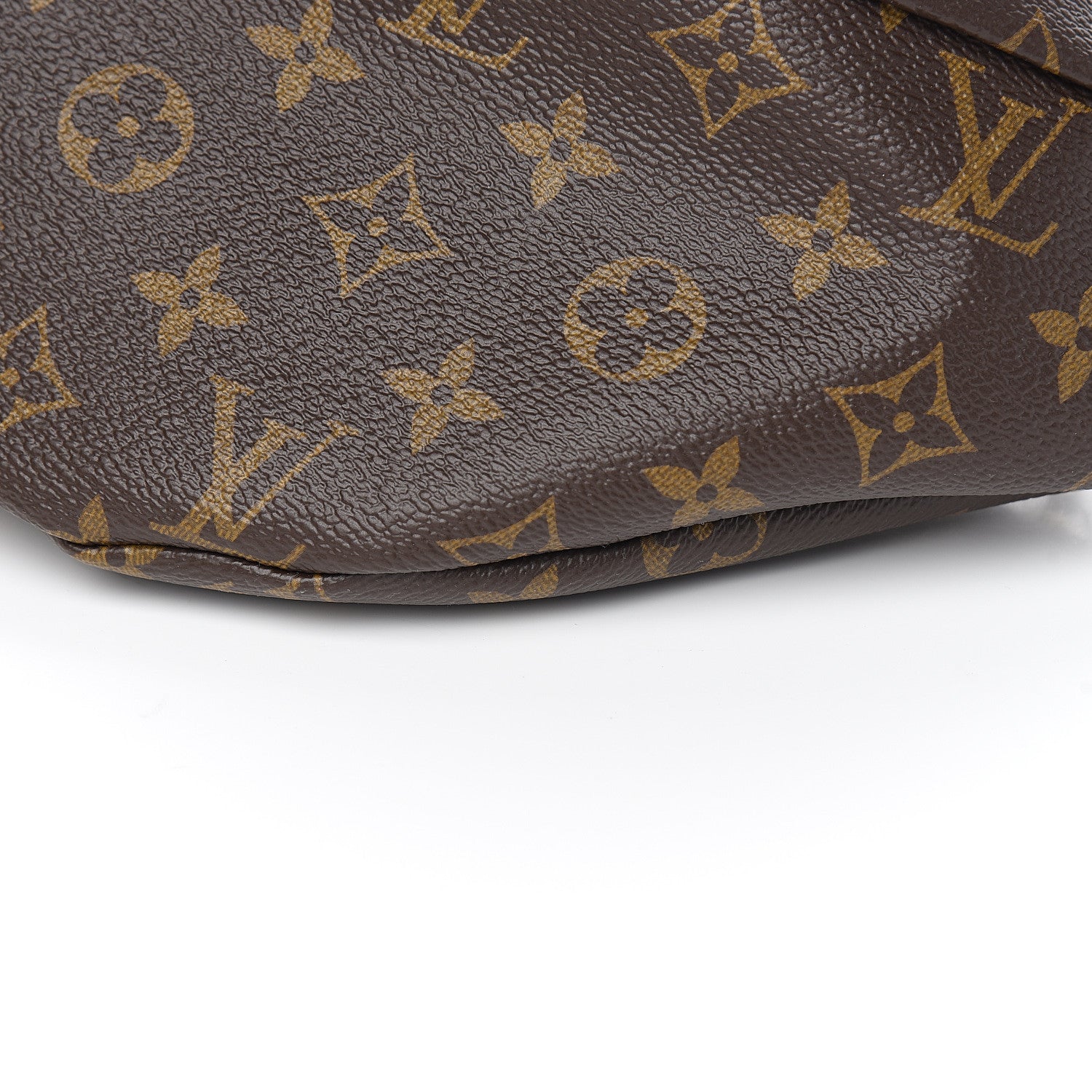 Louis Vuitton Monogram Bumbag 7 of 8