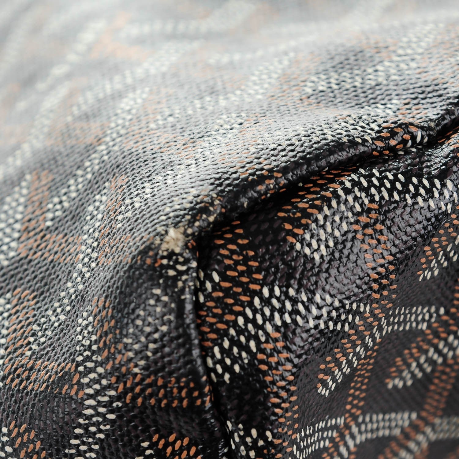 Goyard Goyardine Saint Louis GM Black 10 of 13