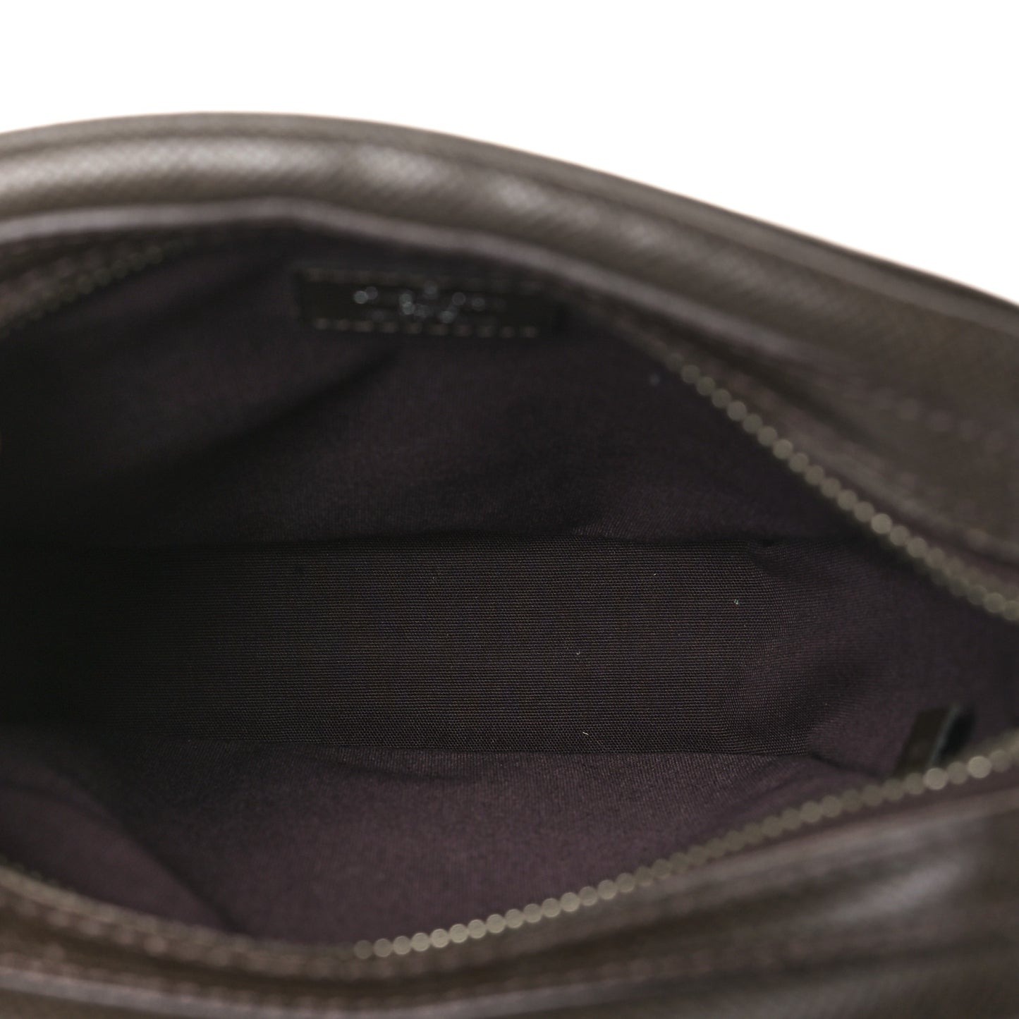 Taiga Dimitri Grizzli