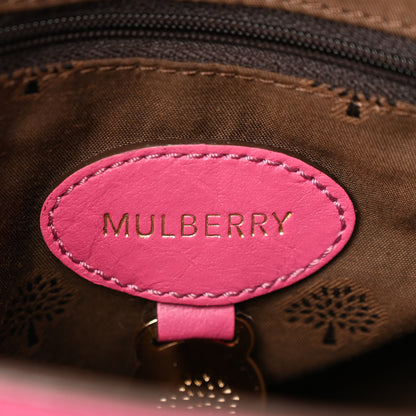 Mulberry Soft Buffalo Mini Alexa Pink 6 of 9