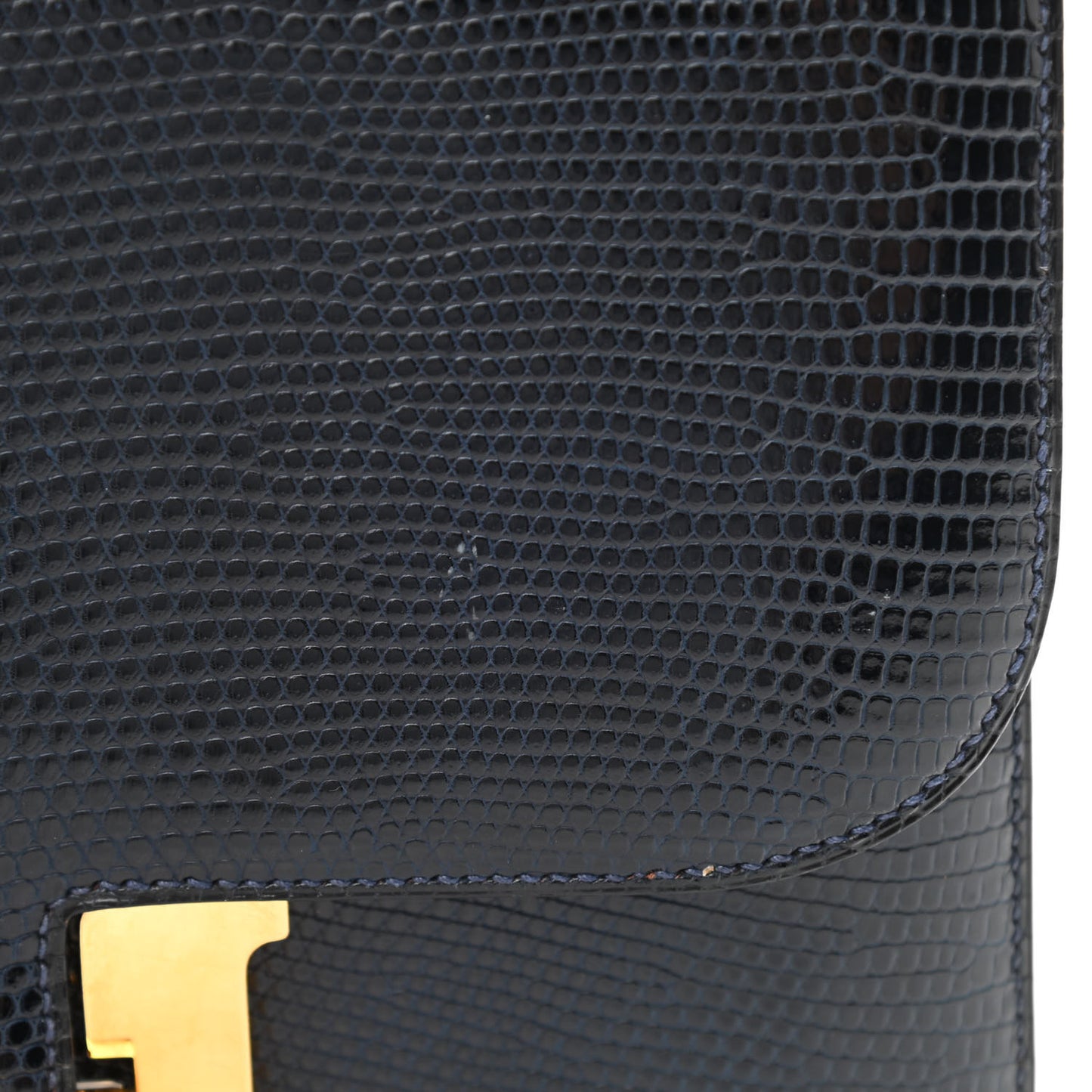 Lizard Constance 23 Bleu Marine