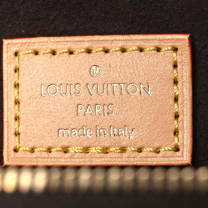 Louis Vuitton Monogram Mini Bumbag 6 of 11