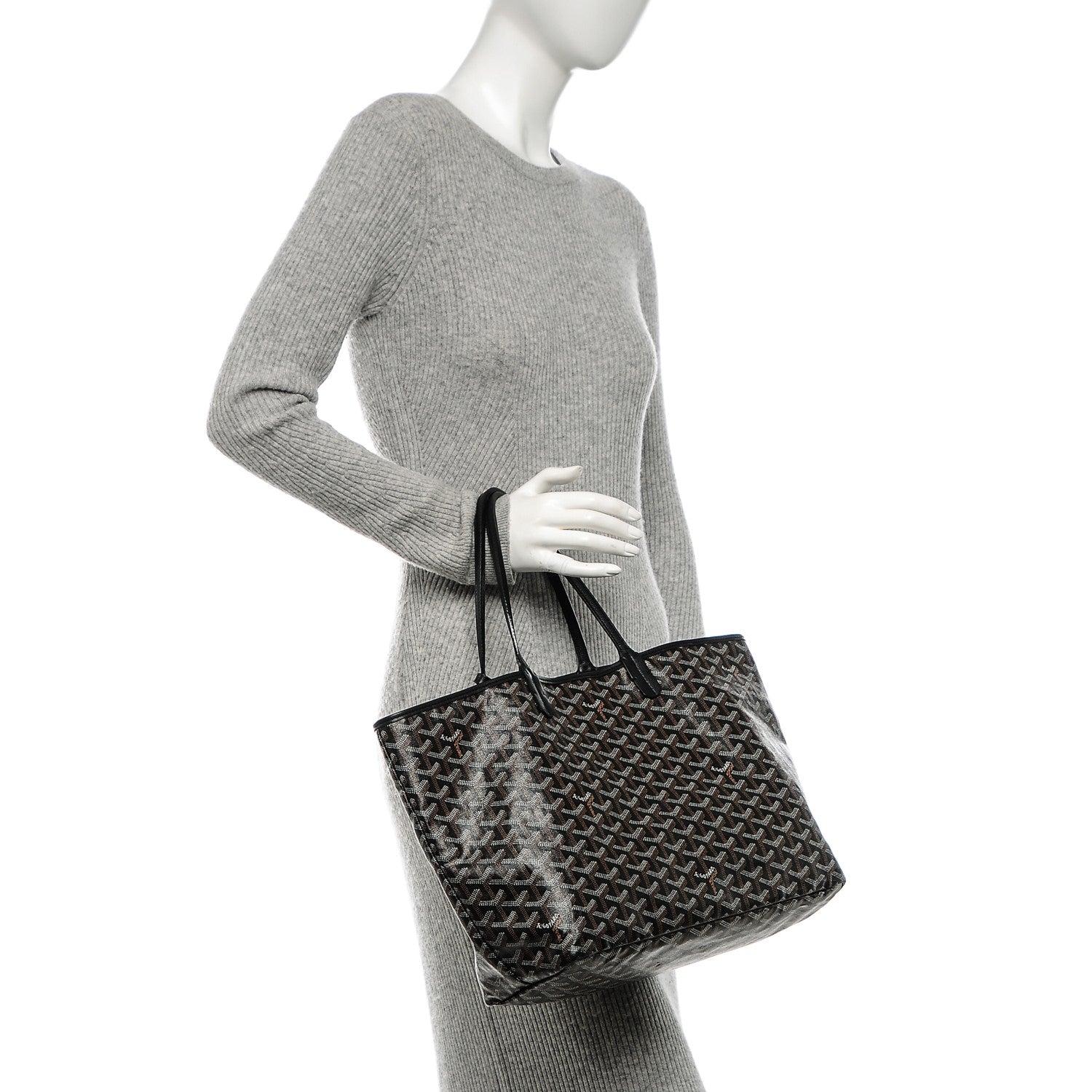 Goyard Goyardine Saint Louis PM Black 2 of 6