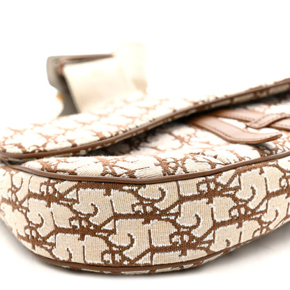 Christian Dior X CACTUS JACK Oblique Saddle Bag Coffee 8 of 9