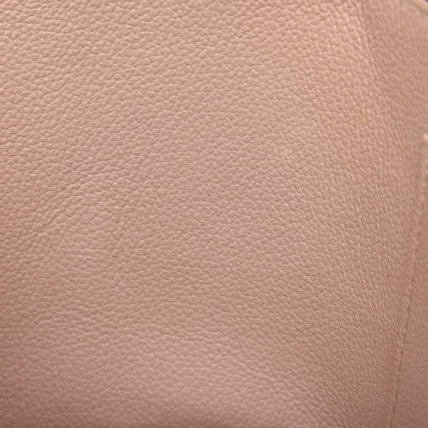 Monogram Nice BB