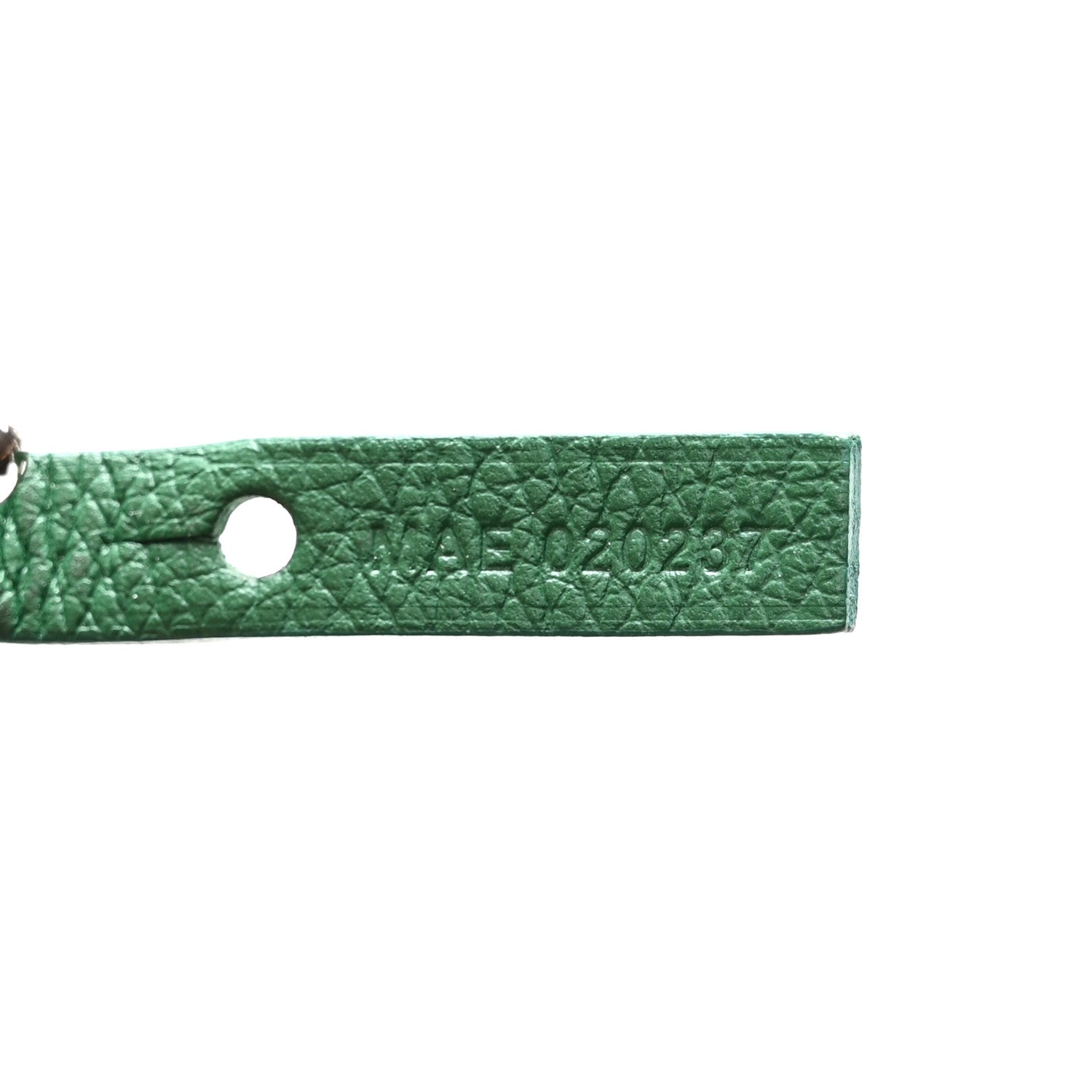 Goyard Goyardine Saint Louis GM Green 8 of 11