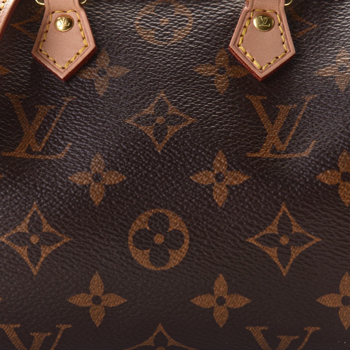 Monogram Nano Speedy