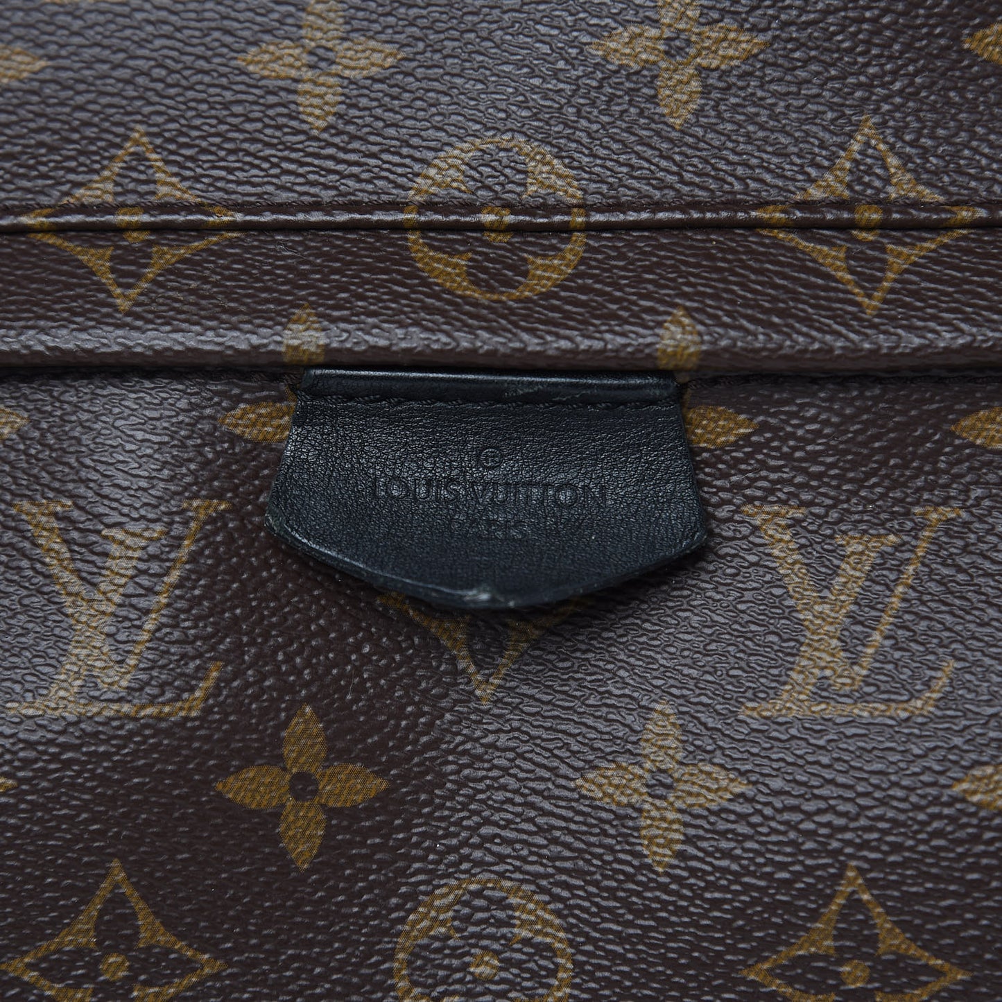 Monogram Palm Springs Backpack MM