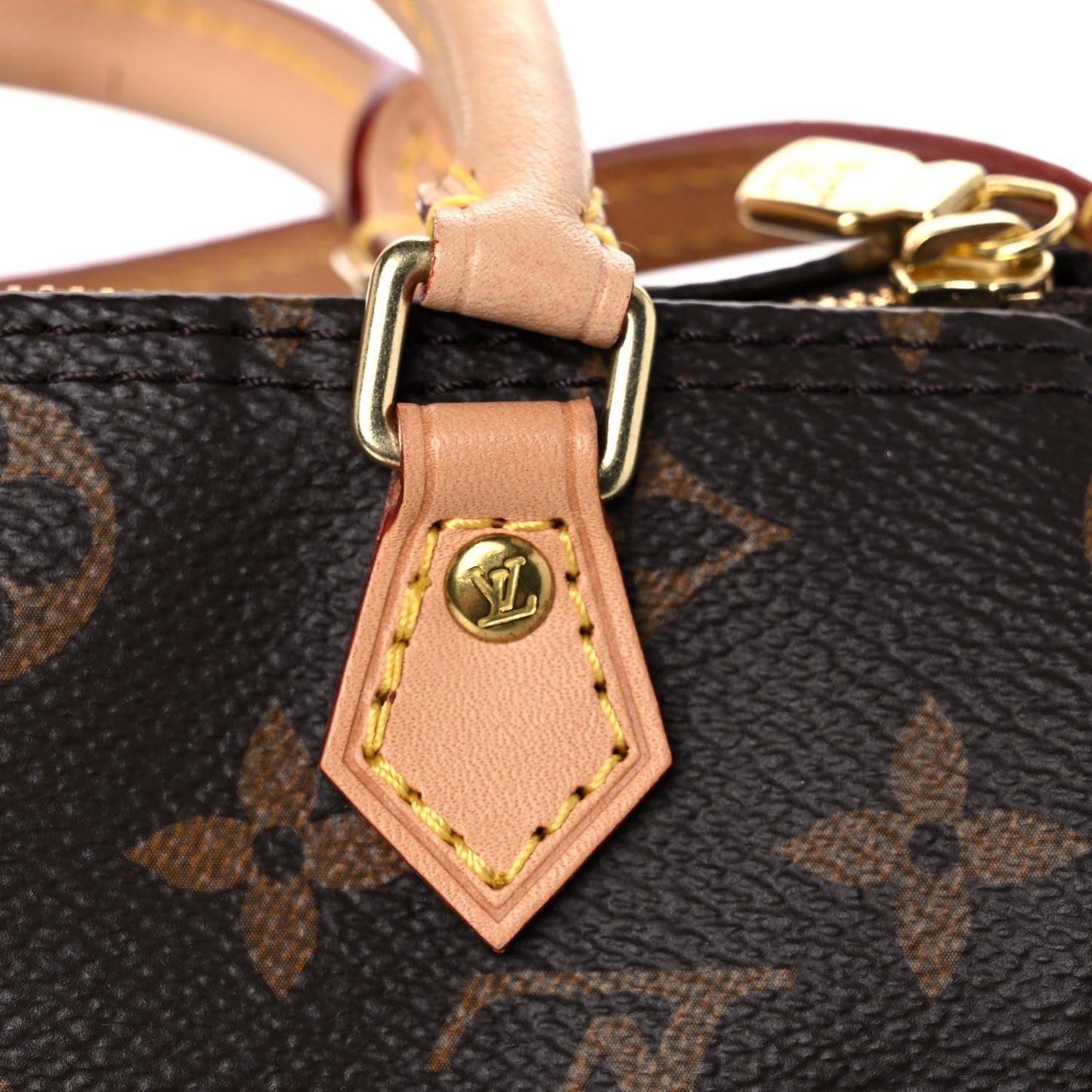 Monogram Nano Speedy