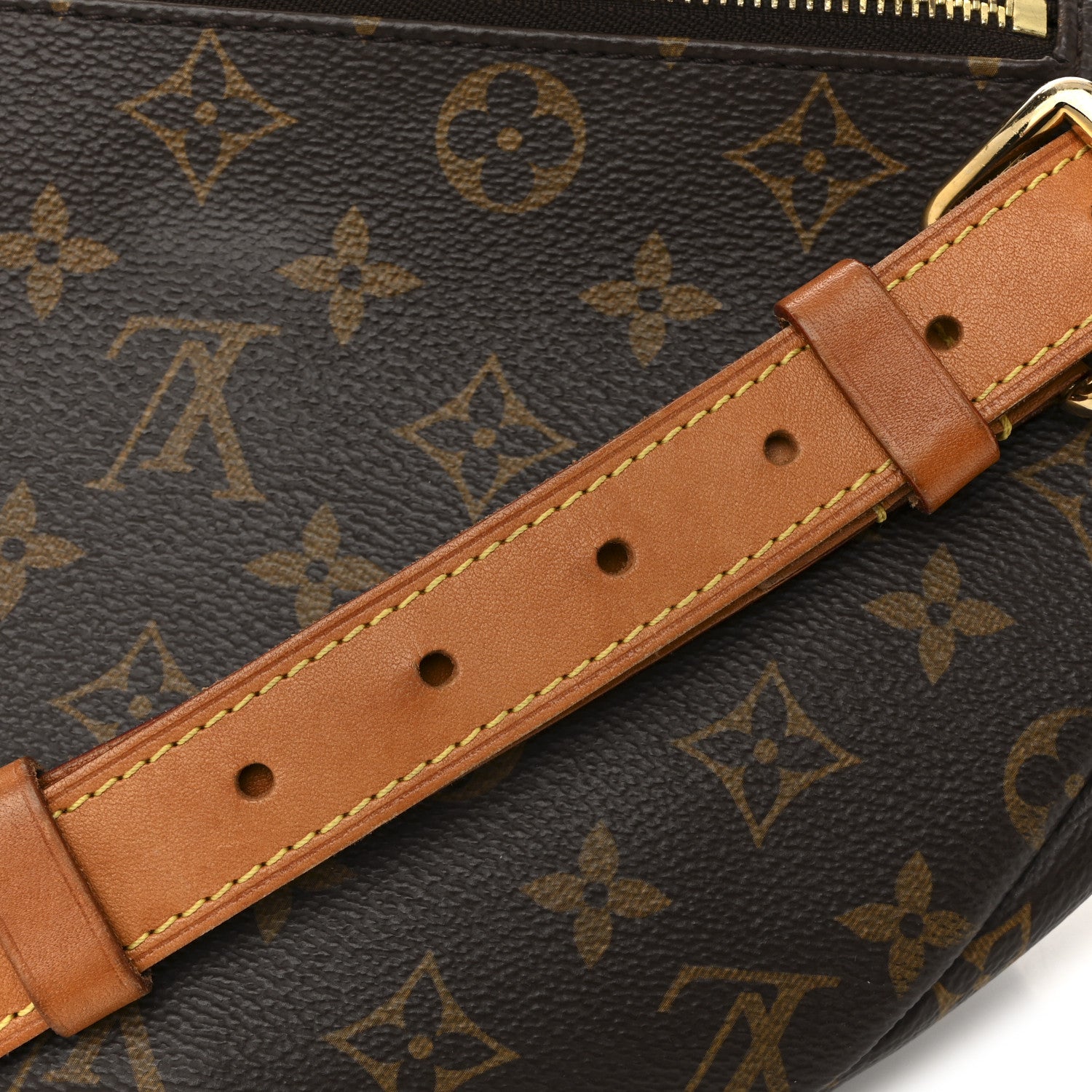 Louis Vuitton Monogram Bumbag 14 of 16