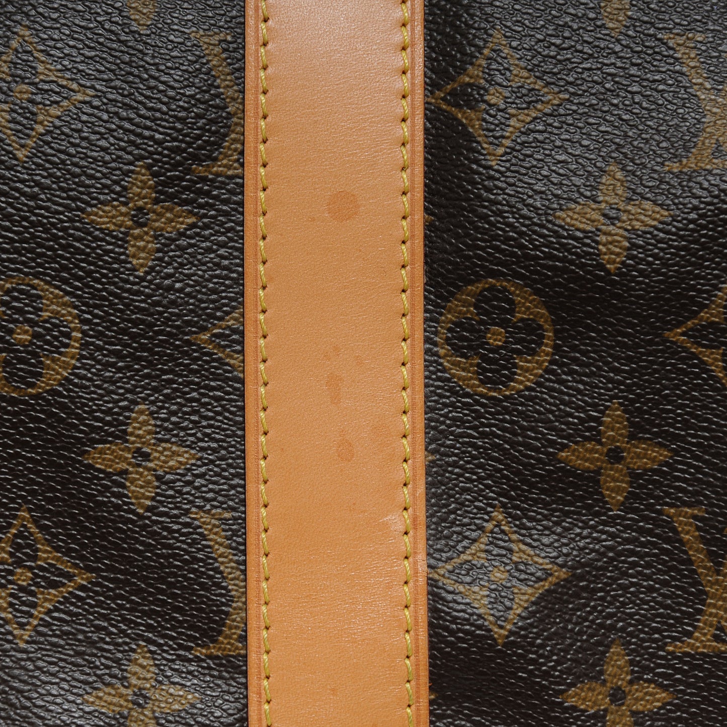 Monogram Carryall