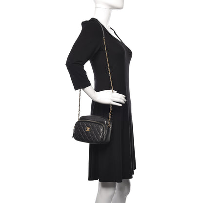 Chanel Calfskin Quilted Day Trips Camera Case Black 2 of 10
