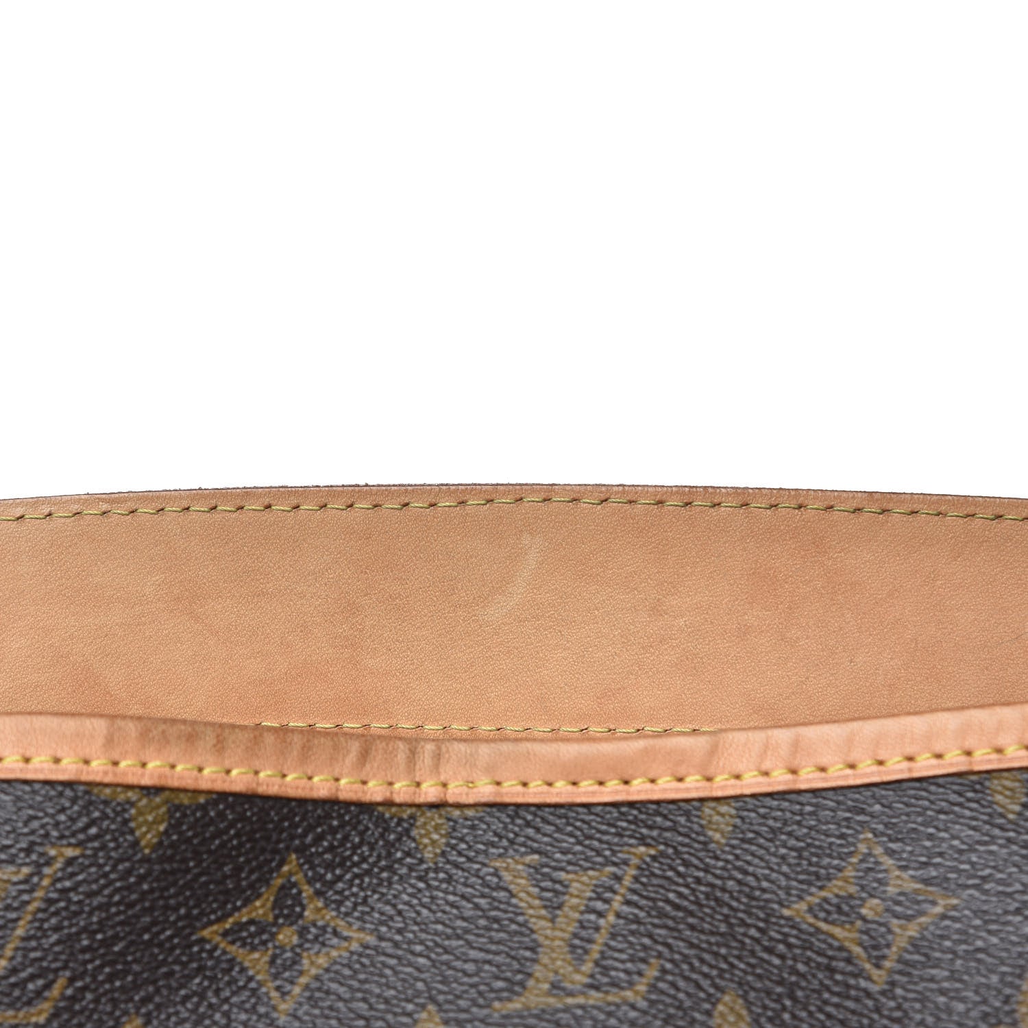 Louis Vuitton Monogram Delightful GM 12 of 15