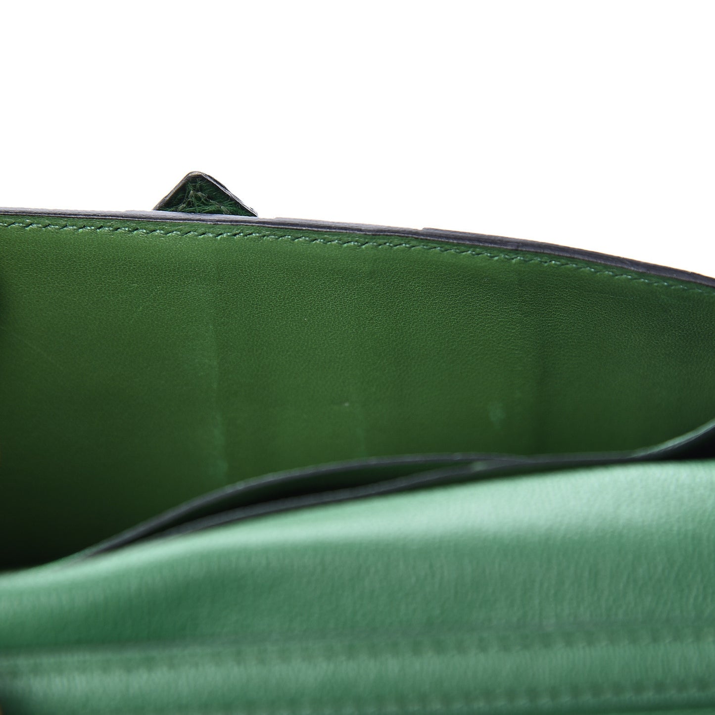 Matte Alligator Bearn Wallet Cactus