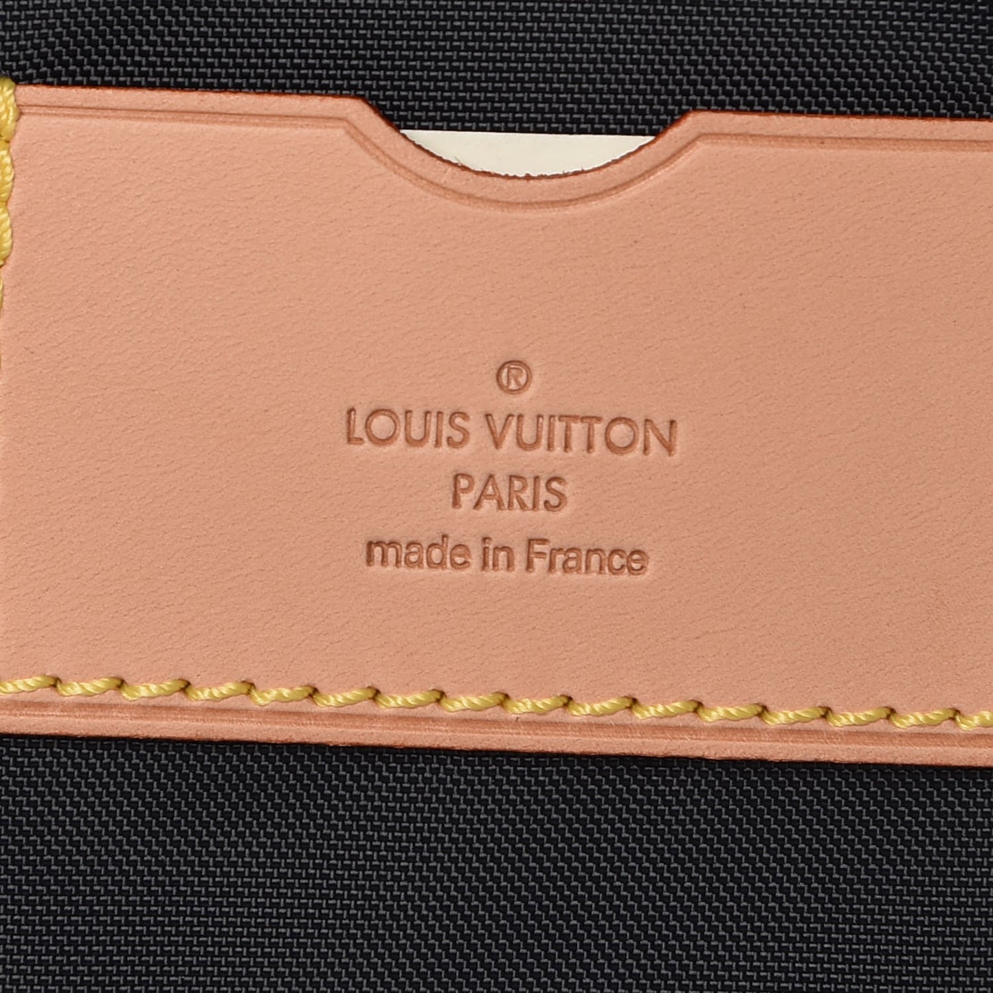 Monogramouflage Pegase 60 Rolling Luggage