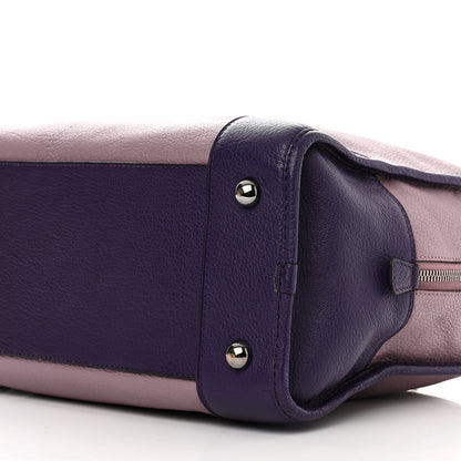 Loewe Goatskin Amazona Purple 10 of 13