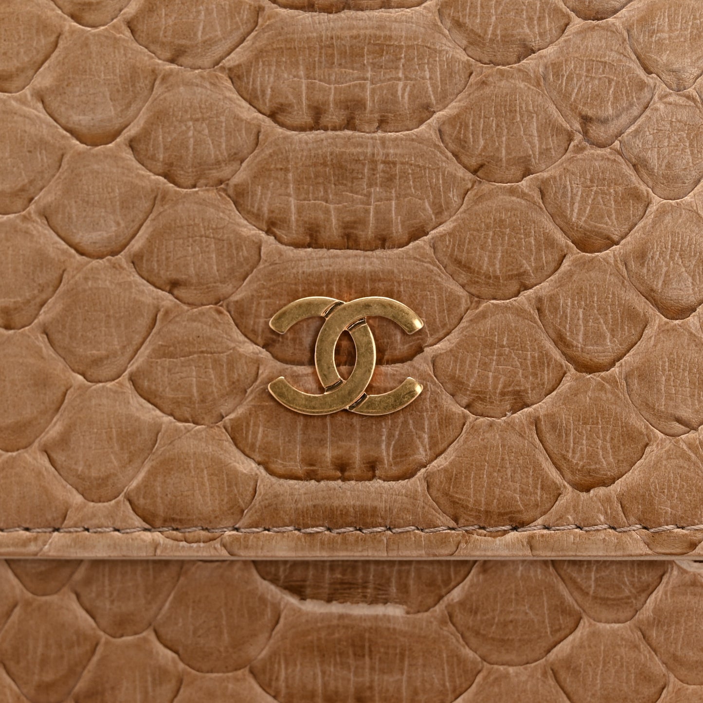Snakeskin Wallet On Chain WOC Beige