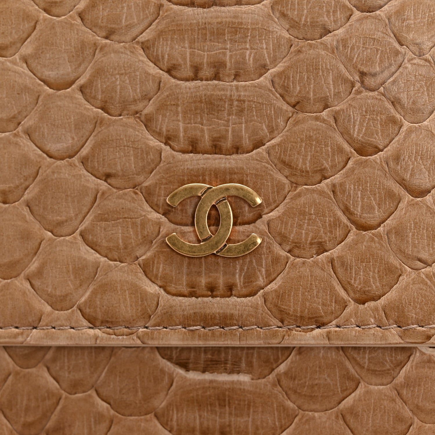 Chanel Snakeskin Wallet On Chain WOC Beige 14 of 15