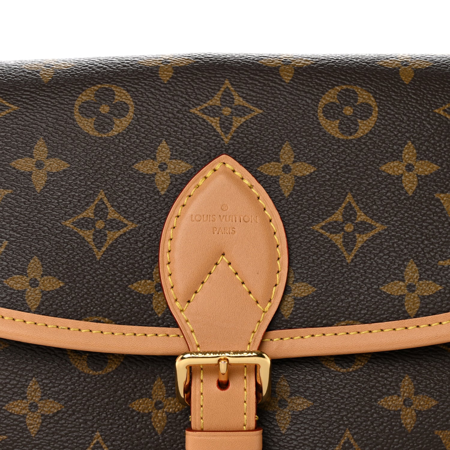 Louis Vuitton Monogram Diane Fuchsia 7 of 9
