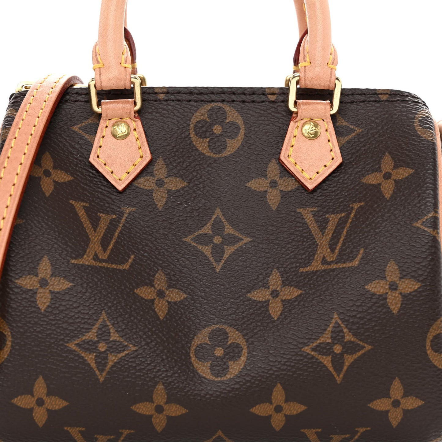 Monogram Nano Speedy