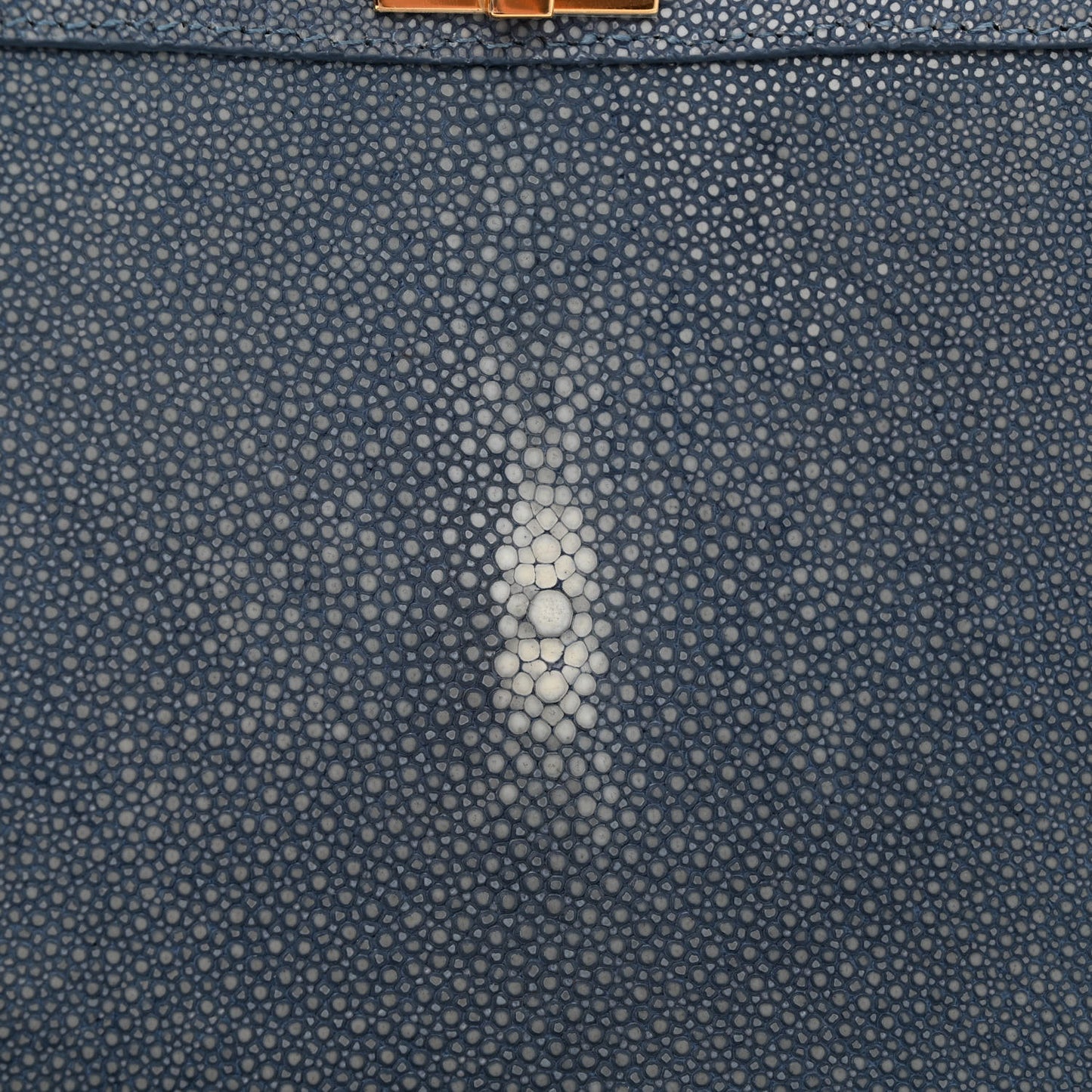 Stingray Shiny Nappa Petite Peekaboo I SEE U Satchel Mirto