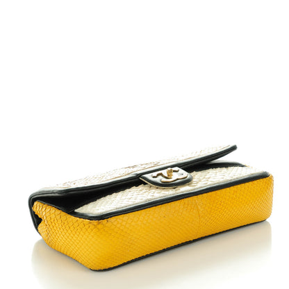 Chanel Python Tri-Color Medium Graphic Flap Beige 4 of 9