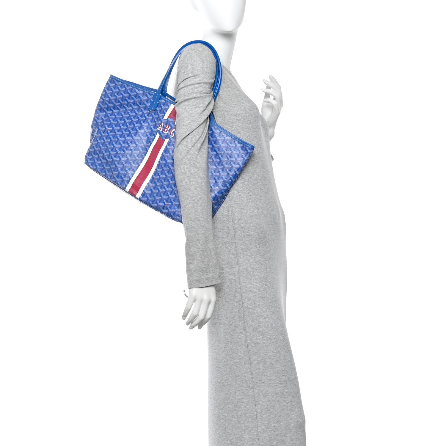 Goyard Goyardine Saint Louis PM Sky Blue 2 of 9