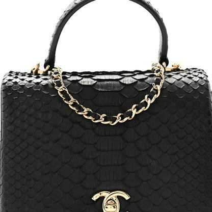 Chanel Snakeskin Quilted Mini Citizen Chic Flap Black 9 of 12