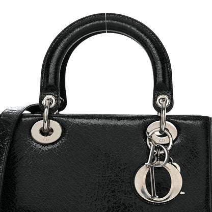 Christian Dior Ceramic Effect Deerskin Jeweled Swan Lady Dior Black 8 of 14