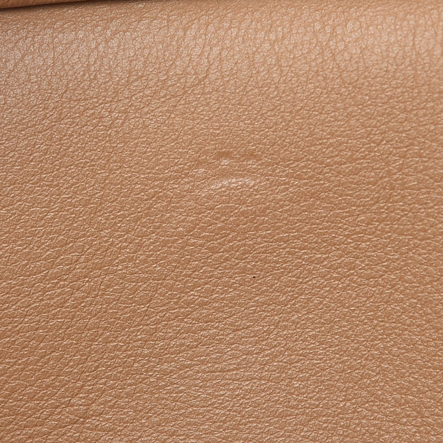 Swift Birkin 25 Biscuit