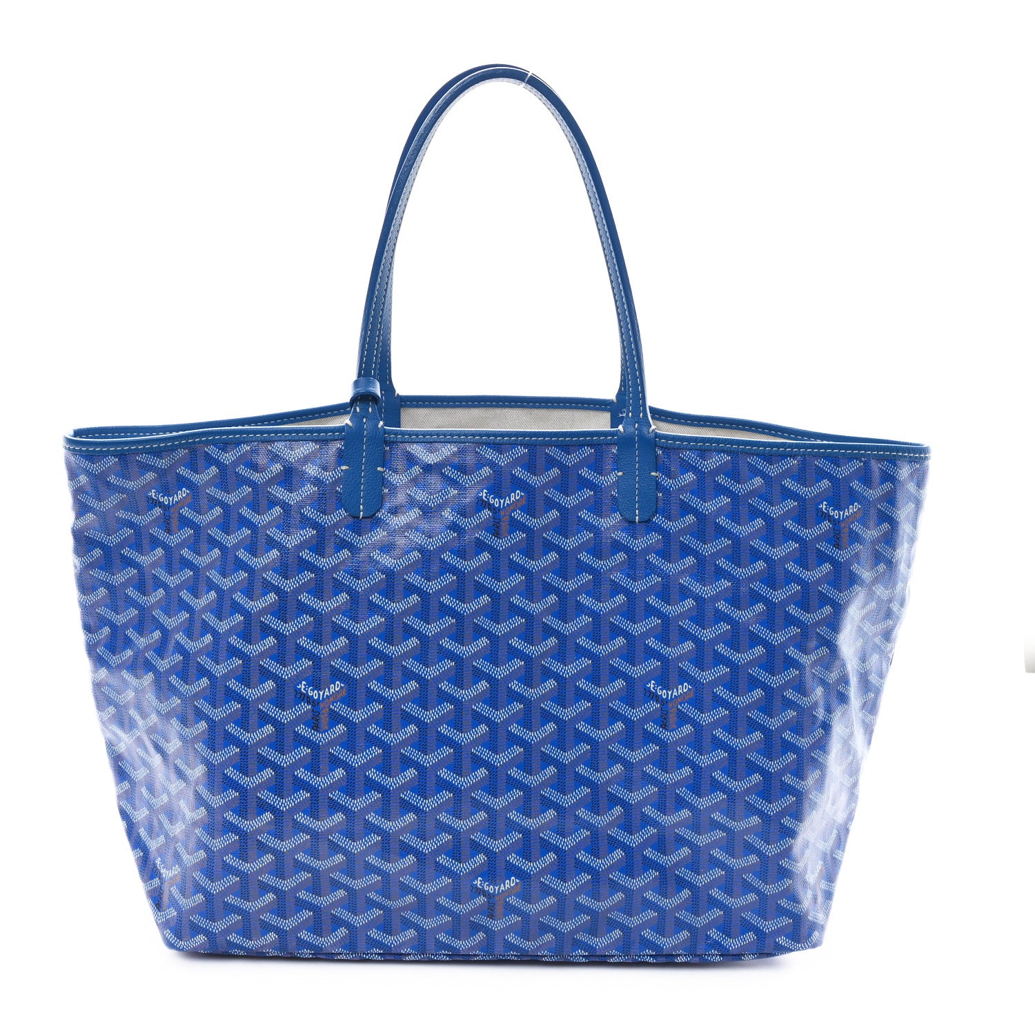 Goyard Goyardine Saint Louis PM Sky Blue 1 of 12
