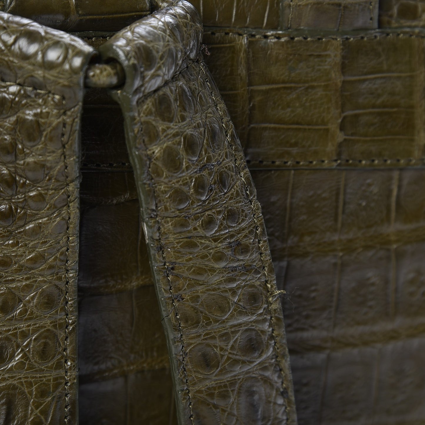 Crocodile Backpack Green