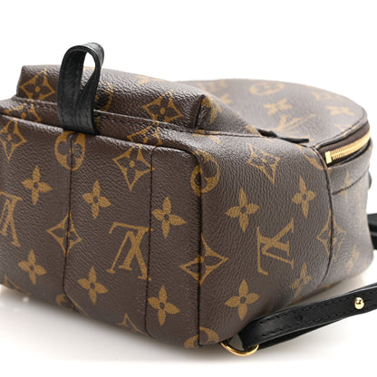 Louis Vuitton Monogram Palm Springs Backpack Mini 10 of 10