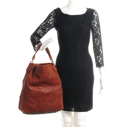 Alexander Wang Leather Darcy Hobo Brown 2 of 6