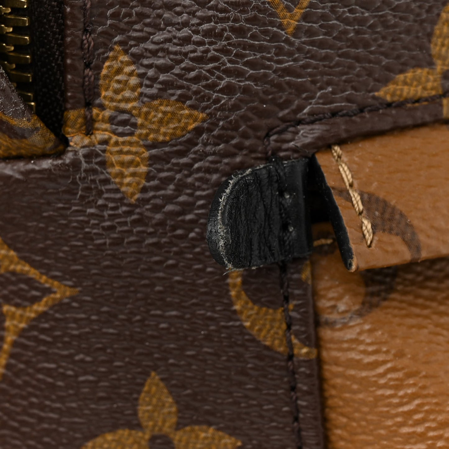 Reverse Monogram Palm Springs Backpack PM