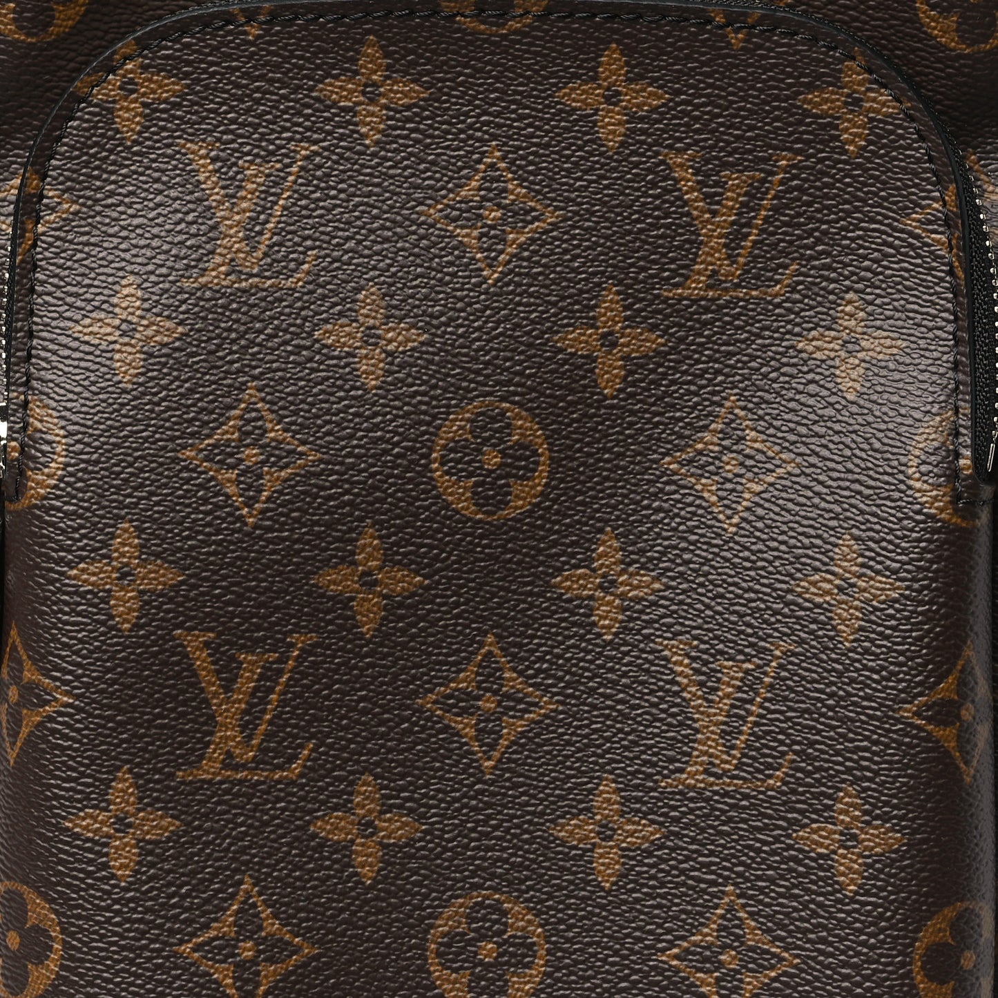 Monogram Macassar Avenue Sling Bag