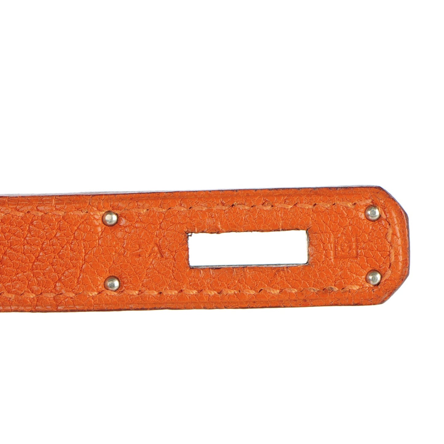 Chevre de Coromandel Birkin 30 Potiron