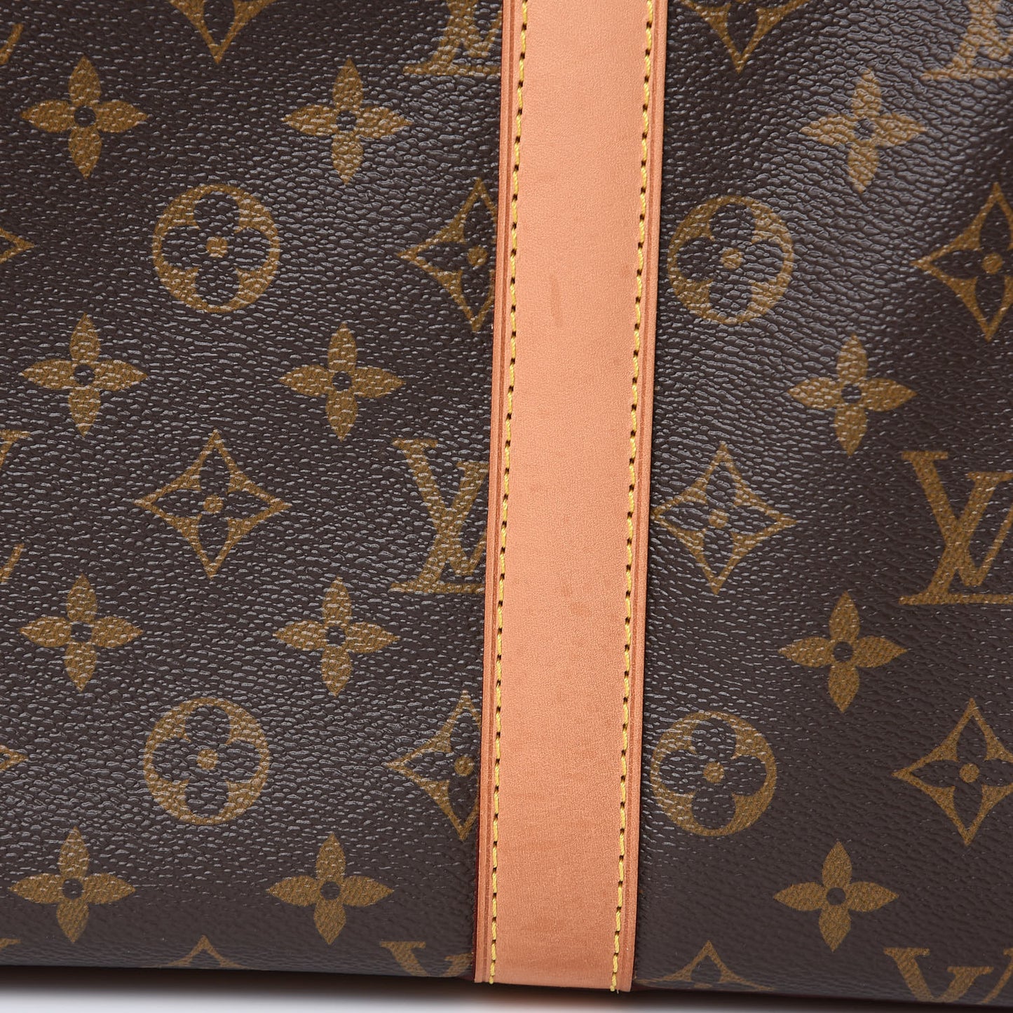 Monogram Sac Chien 40 Pet Carrier