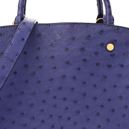 Louis Vuitton Ostrich Montaigne MM Amethyste 8 of 13