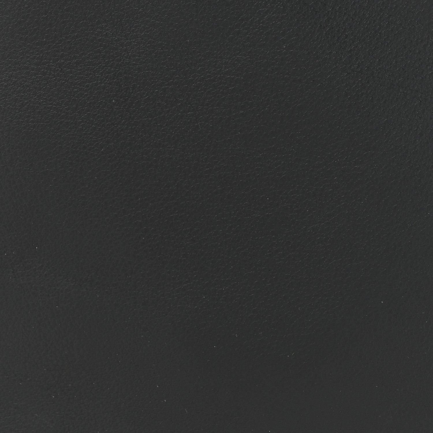 Goyard Goyardine Reversible Mini Anjou Black 14 of 18