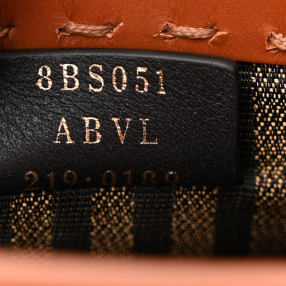 Fendi Vitello King Plexiglass Logo Embossed Mini Fendi Sunshine Shopper Tote Cuoio 7 of 11