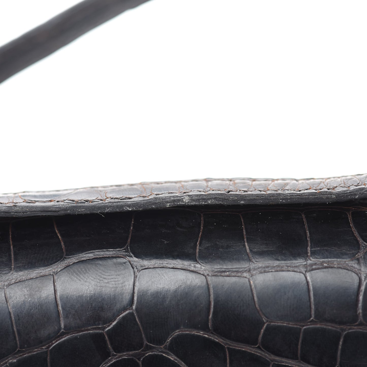 Shiny Alligator Micro Constance 14 Ebene