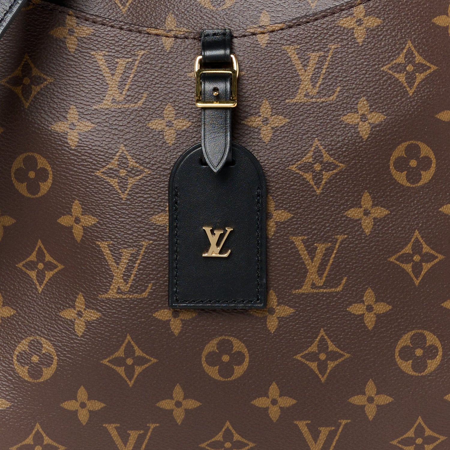 Louis Vuitton Monogram Odeon MM Black 7 of 9