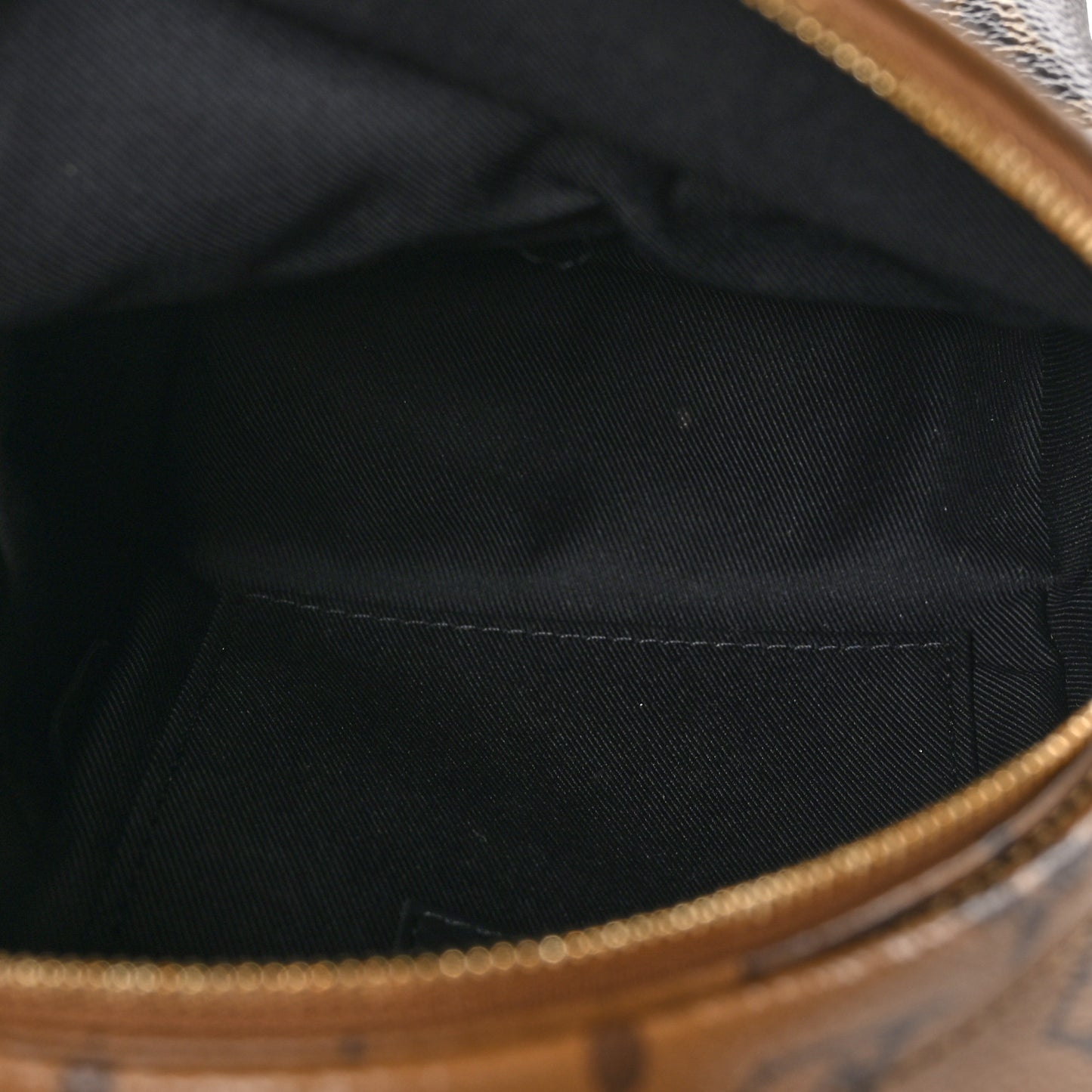 Reverse Monogram Palm Springs Backpack Mini